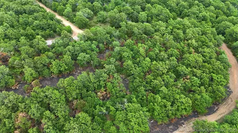 Eagle Bluff, Eufaula, OK 74432 photo 13