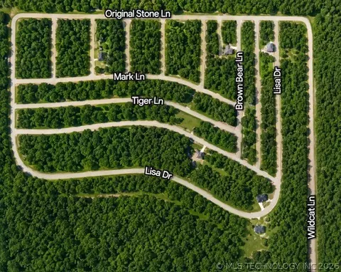 46 Tiger Dr, Eufaula, OK 74432 photo 5