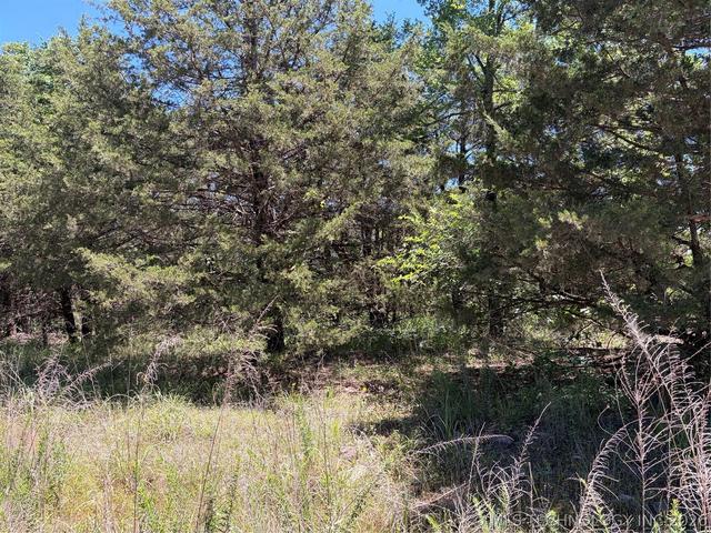 John's Valley Road, Moyers, OK 74557