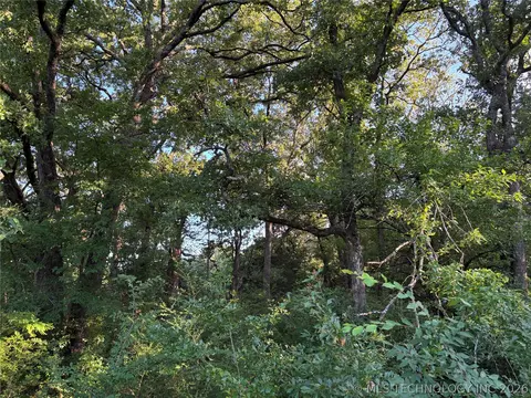 484 S Eighth, Colbert, OK 74733 photo 34