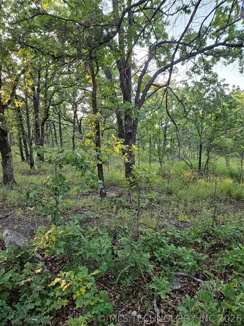 Hickory Lane, Stuart, OK 74570 photo 7