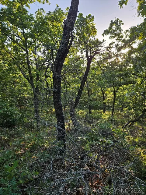 Hickory Lane, Stuart, OK 74570 photo 5