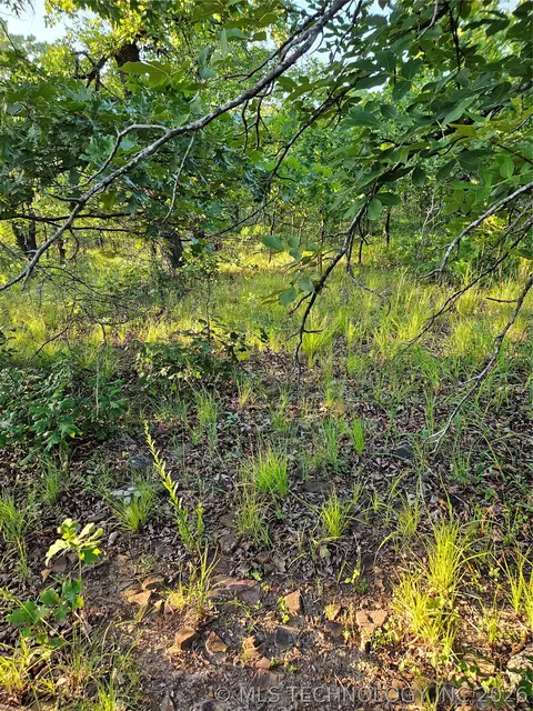 Hickory Lane, Stuart, OK 74570 photo 4