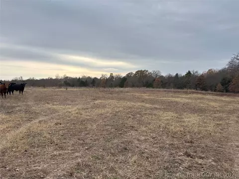 Nelson, Soper, OK 74759 photo 6