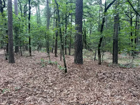 001 Johns Valley Rd, Moyers, OK 74557