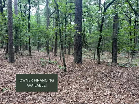 001 Johns Valley Rd, Moyers, OK 74557