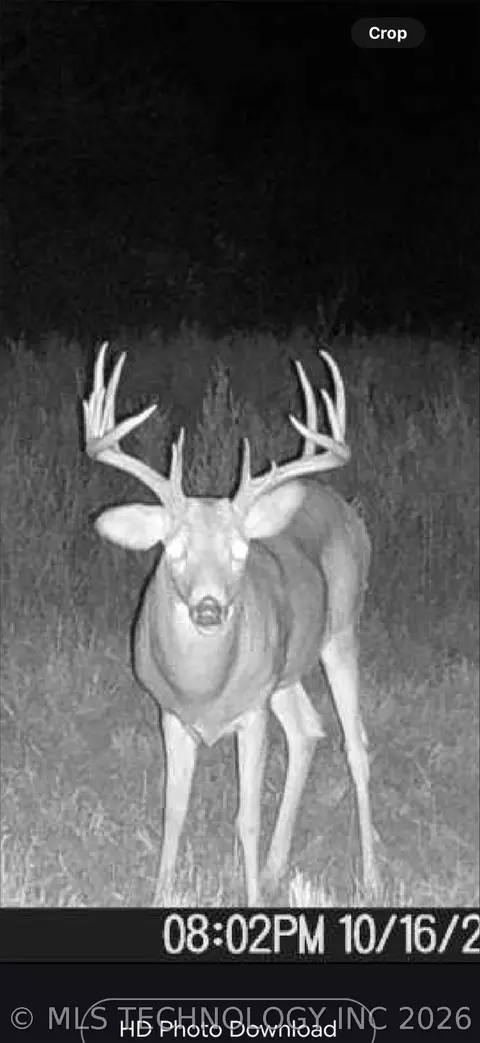 Other - 108531 S 4130 Rd, Checotah, OK 74426 photo 44 of 44