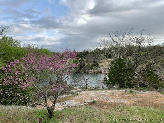 6 Brandy Ln, Tishomingo, OK 73460