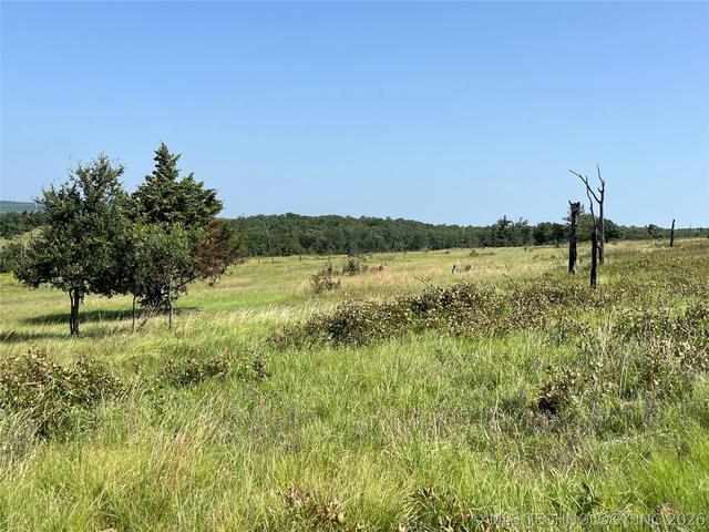 Bill Ward Road, Coalgate, OK 74535