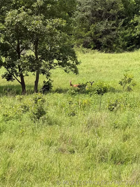 000 E 4100 Rd, Pawnee, OK 74058 photo 52