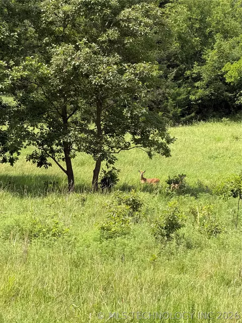 000 E 4100 Rd, Pawnee, OK 74058 photo 51
