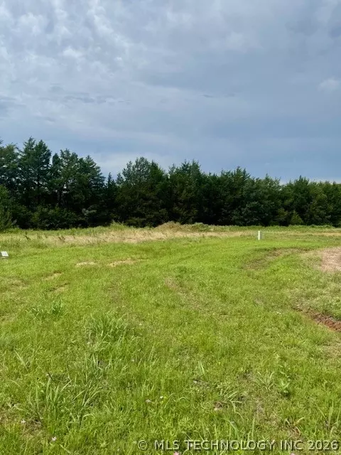 37 Red Bird Ln, Colbert, OK 74733 photo 8