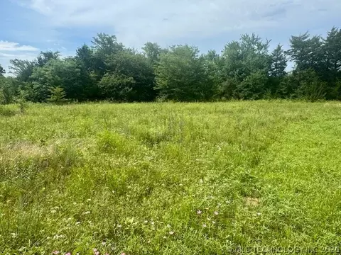 37 Red Bird Ln, Colbert, OK 74733 photo 6