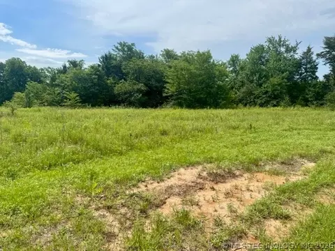 37 Red Bird Ln, Colbert, OK 74733 photo 9