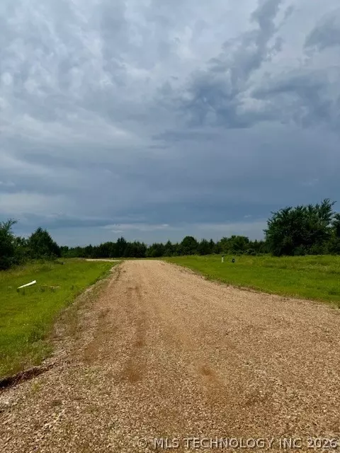 37 Red Bird Ln, Colbert, OK 74733 photo 11