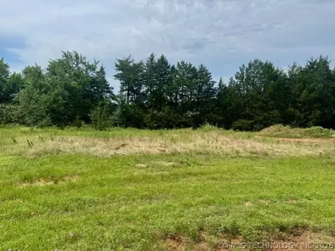 37 Red Bird Ln, Colbert, OK 74733 photo 10