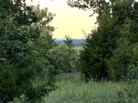 447530 E 1011, Gore, OK 74435 photo 9