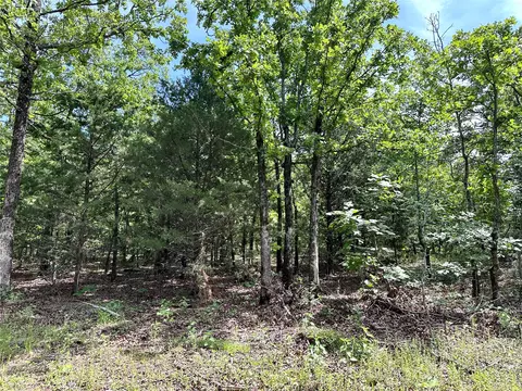 623 Dozer Mountain Rd, Eufaula, OK 74432 photo 50