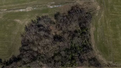 160 E 740 Rd, Wagoner, OK 74467 photo 15