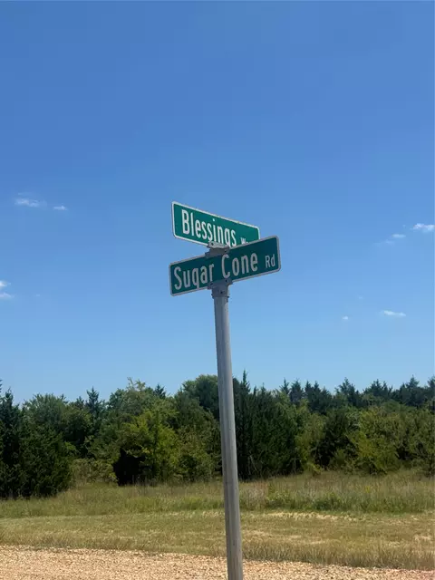39 Sugar Cone Rd, Colbert, OK 74733 photo 6