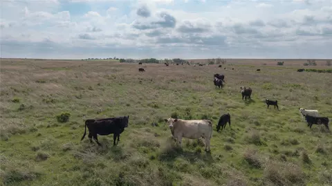 0041 E 4500 Rd, Pawnee, OK 73061 photo 28
