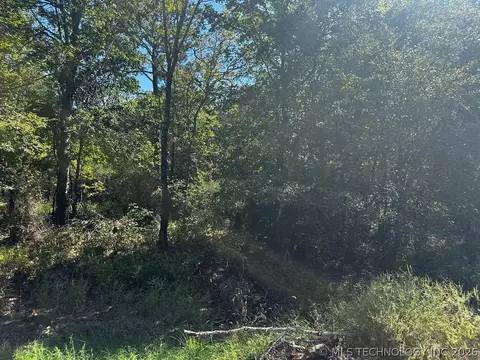 Miller Road, Stringtown, OK 74569 photo 9