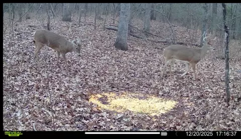 0 E 750 Rd, Cushing, OK 74023 photo 8