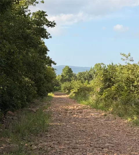 240 River Rd, Muse, OK 74949 photo 13