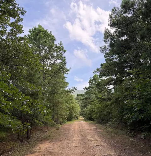 290 River Rd, Muse, OK 74949 photo 3