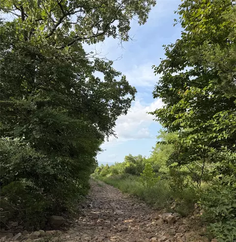 620 River Rd, Muse, OK 74949 photo 10