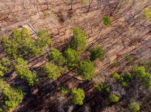 4 S 4530 Rd, Eucha, OK 74342 photo 55