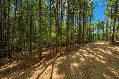 256 Woodsman, Broken Bow, OK 74728 photo 29