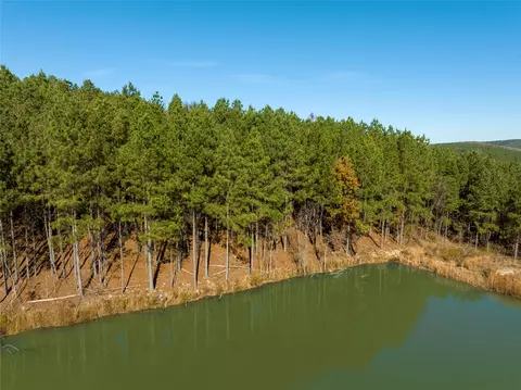 256 Woodsman, Broken Bow, OK 74728 photo 10