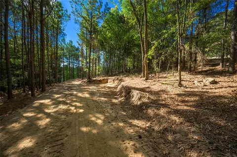 256 Woodsman, Broken Bow, OK 74728 photo 5