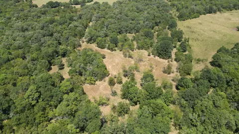 Bridge Road, Stringtown, OK 74569 photo 20