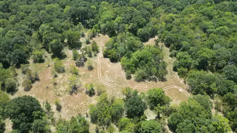 Bridge Road, Stringtown, OK 74569 photo 10