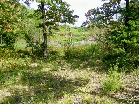 S 230th Road, Henryetta, OK 74437 photo 40