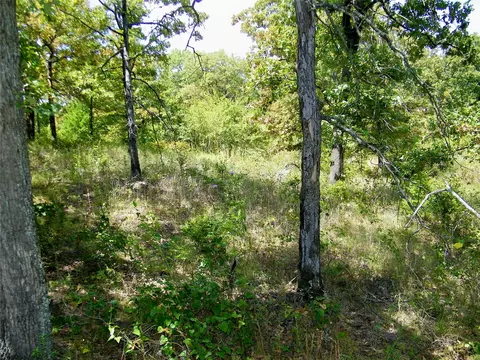 S 230th Road, Henryetta, OK 74437 photo 39
