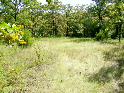 S 230th Road, Henryetta, OK 74437 photo 36