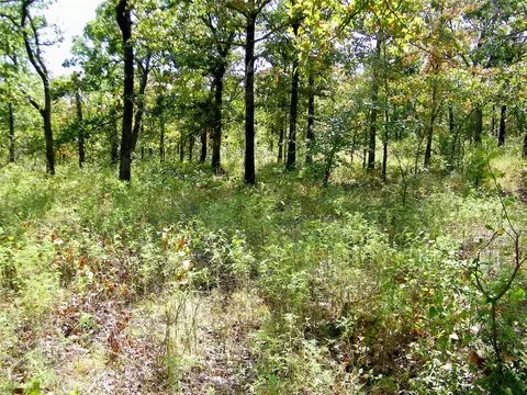 S 230th Road, Henryetta, OK 74437 photo 34