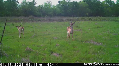Ti Valley Pass, Blanco, OK 74528 photo 17
