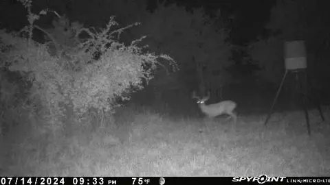 Ti Valley Pass, Blanco, OK 74528 photo 3