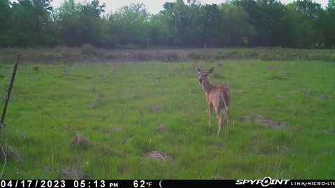 Ti Valley Pass, Blanco, OK 74528 photo 15