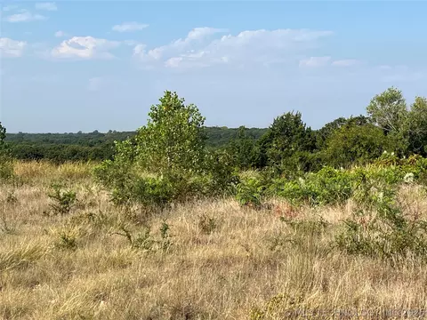 Enos Road, Kingston, OK 73439 photo 6