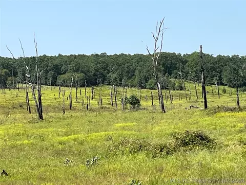 Hwy 69-75 Highway, Stringtown, OK 74525 photo 6
