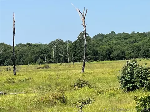 Hwy 69-75 Highway, Stringtown, OK 74525 photo 5