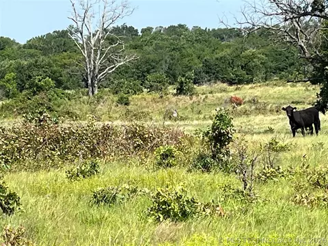 Hwy 69-75 Highway, Stringtown, OK 74525 photo 8