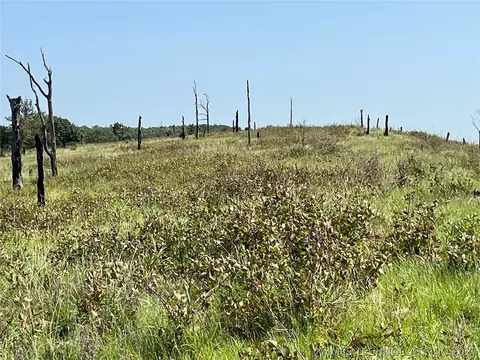 Hwy 69-75 Highway, Stringtown, OK 74525 photo 12