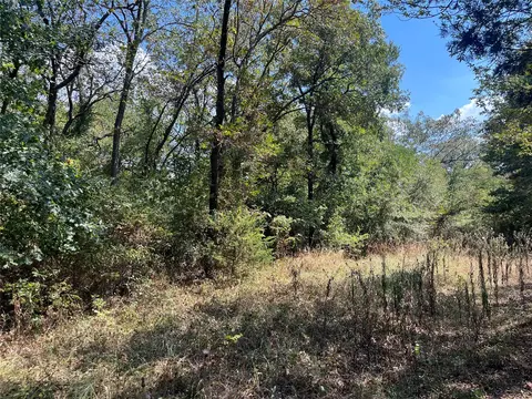 Kickapoo Avenue, Kingston, OK 73439 photo 7