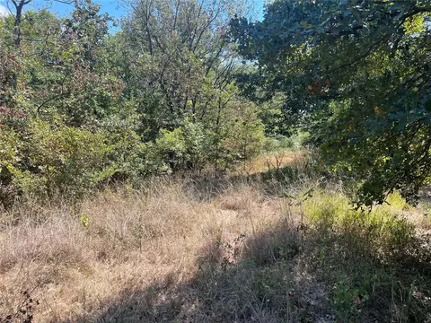 Kickapoo Avenue, Kingston, OK 73439 photo 4